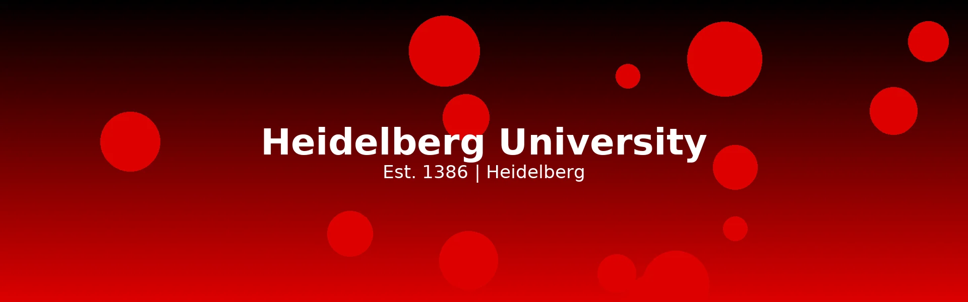 Heidelberg University